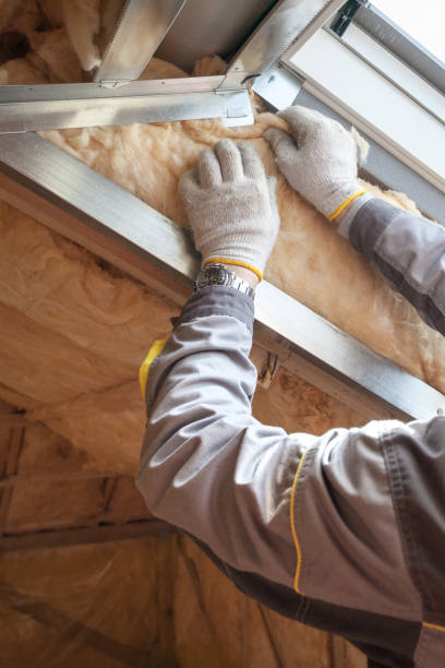 Best Insulation for Specific Applications in Capitol Heights, MD