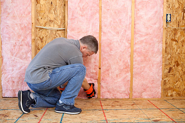 Best Specialty Insulation in Capitol Heights, MD